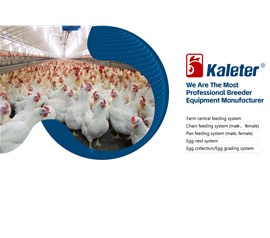 马来西亚展会直击！博世体育种鸡产品引普遍关注 盛况!