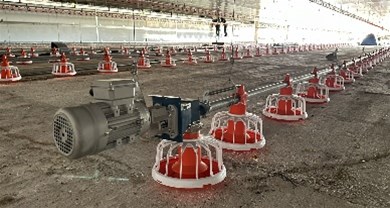 Overseas super long breeder broiler project landed