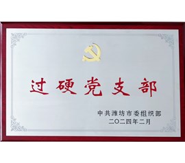 Good news! Zhongyu Party Branch won the title of 