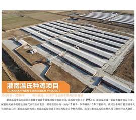 灌南温氏种鸡项目