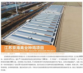 Jiangsu Jinghai poultry industry breeding chicken project
