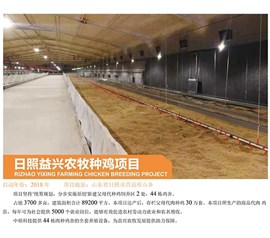 Rizhao Yixing farming and breeding chicken project