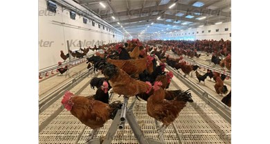 博世体育与爱禽社联合主理第六届散养鸡立异创业交流大会，，邀您共赴盛会