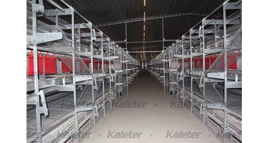 博世体育EPC交钥匙工程—安徽最大立体式福利养殖基地建成在即