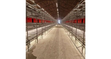 诸城博世体育与大连韩伟相助蛋鸡非笼养项目顺遂完工！！！