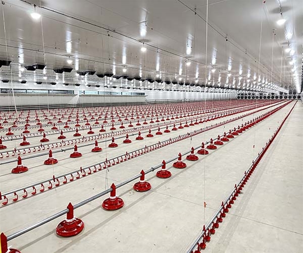 Broiler floor raising system