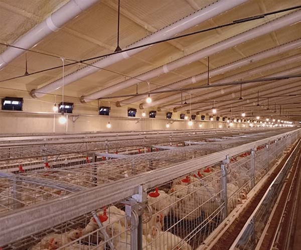 Henan Tianzhonghe project