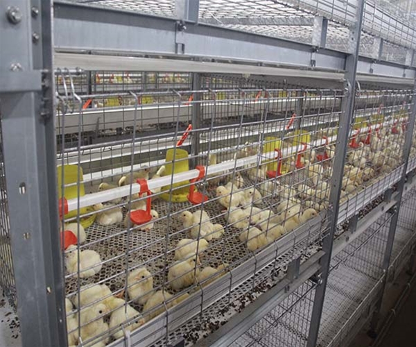 Zhucheng Waimao project