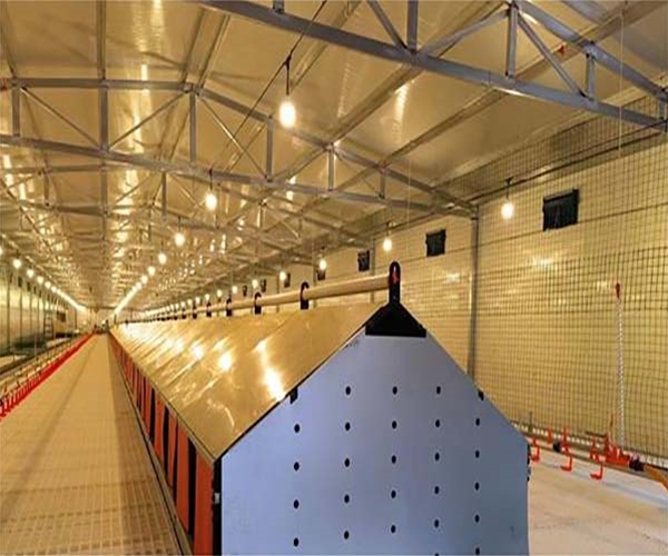 Xian Nianfeng project