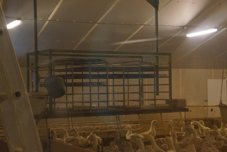 博世体育(中国集团)官方网站